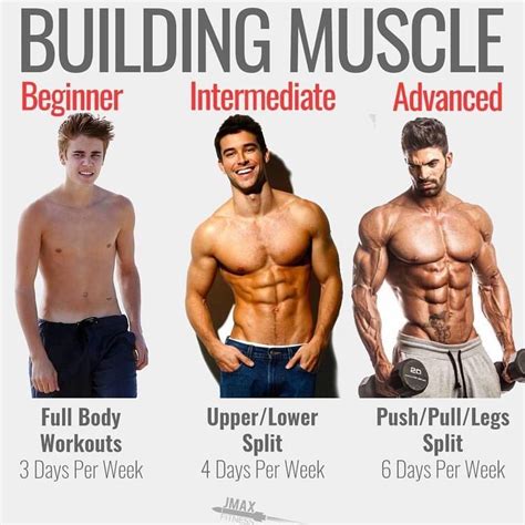 r/weightgainai|How to Gain Weight, Increase Muscle Mass, & Stay .
